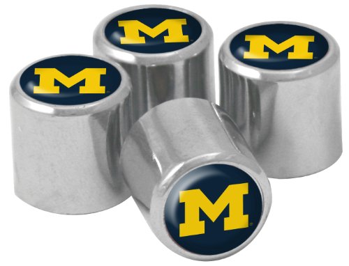 Best All Round Tire for Car in Michigan