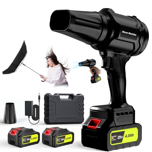 Best Battery Powered Leaf Blower for Drying Car