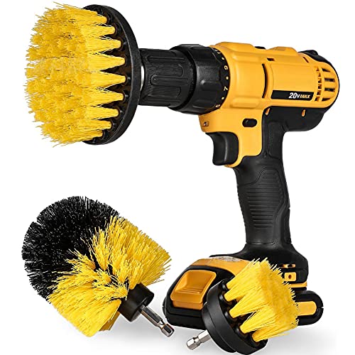Best Carpet Cleaner Machine for Car Detailing