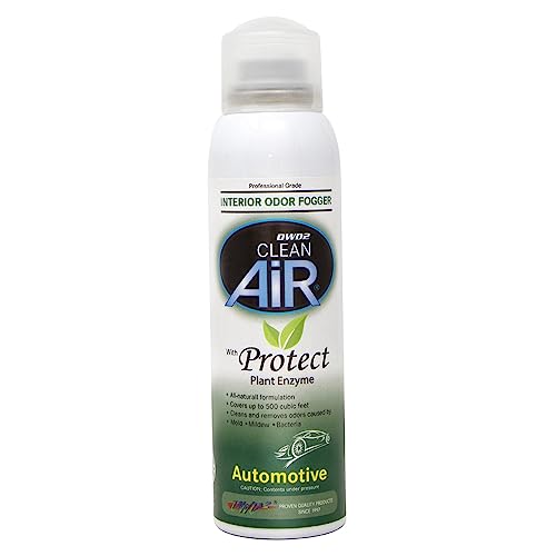 Best Cleaner for Mold in Car