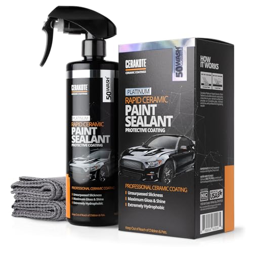 Best Paint Protection for Cars