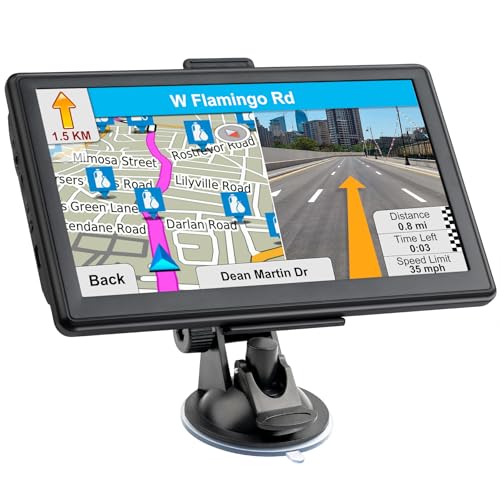 Best Stand Alone Gps for Car